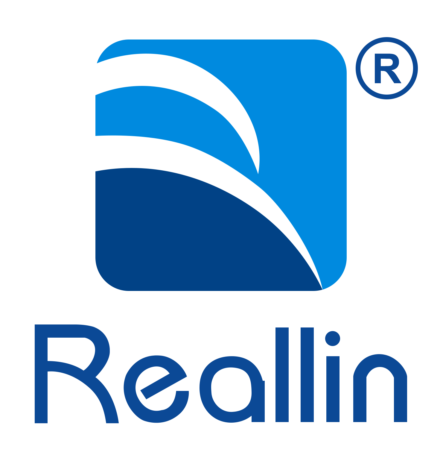 Zhejiang Reallin Elettrone Co.,Ltd
